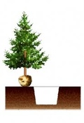 Rete per balle di alberi