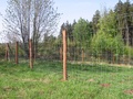 Reti forestali e pastorali