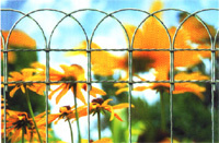 Rete ornamentale Rete decorativa 650 verde - rotolo 10 m
