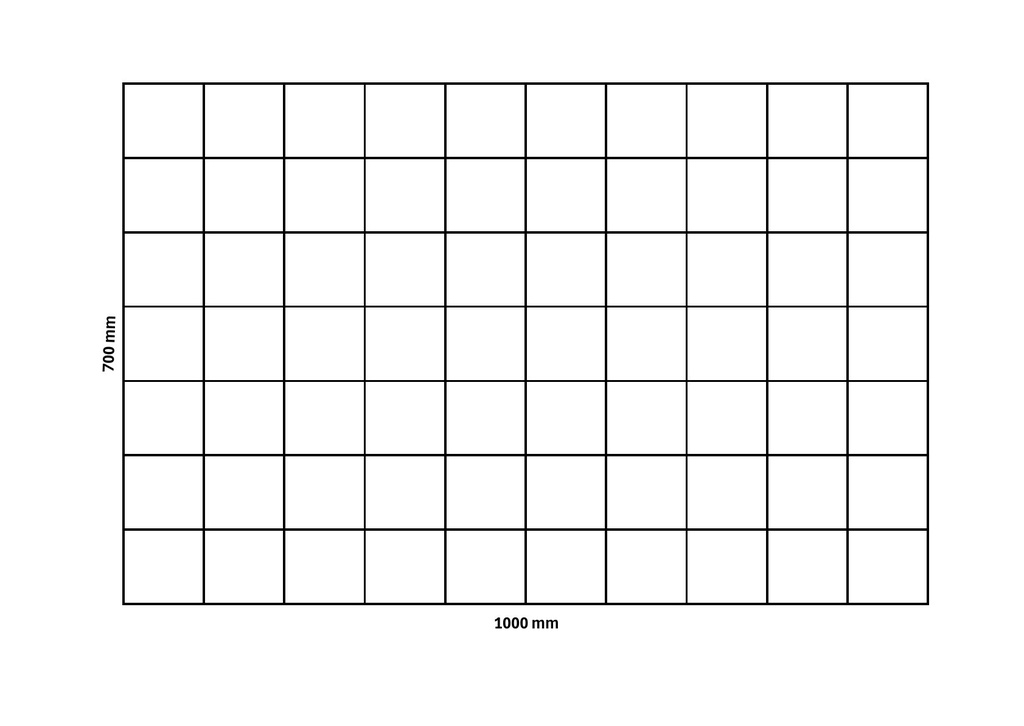 Rete gabbionata 1000x700 mm, maglia 100x100 mm