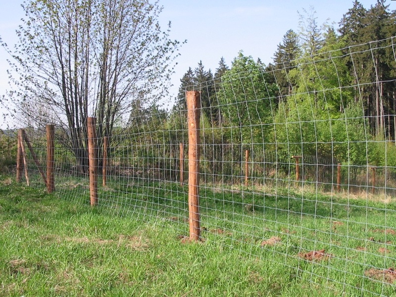Recinzione forestale a maglia ceca 160 cm - 1,6+2,2 mm/16 fili/150 mm/50 m